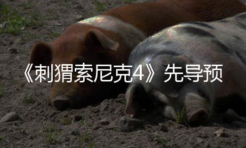 先导袭来猬索重磅新强势空降刺尼克角色预告
