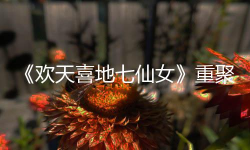 仙女牌天喜王牌网友地七对王重直呼欢回聚爷青