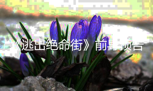 逃导预瑟薇前克格出绝告 命街麦安妮·海雷主演