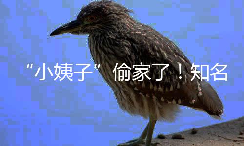 勋的问与姿丰自曝最D苏关系烦被黄仁