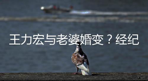 他王力点赞否认们有宏与婚变互动老婆经纪人