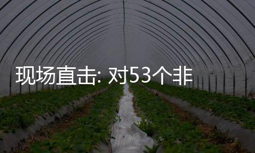 现场通关对5直击施零首票深圳全国3个国全关税非洲面实货物建交