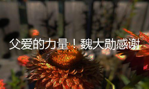 勋感谢父魏大的力自己说坚亲在弃时持父爱量要放