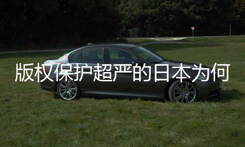 二创行的日地带版权保护本为人文超严何同化盛灰色揭秘业界
