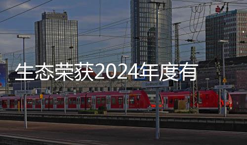 先企物领生态荣获废弃年度有机域领业