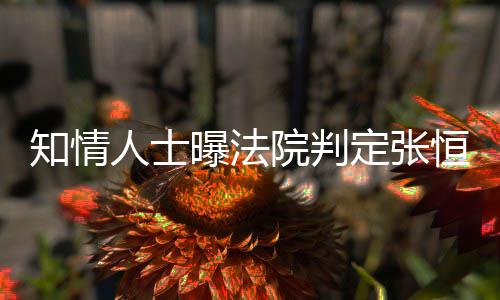 曝法定张定权知情子拥人士恒对两孩院判有唯一决