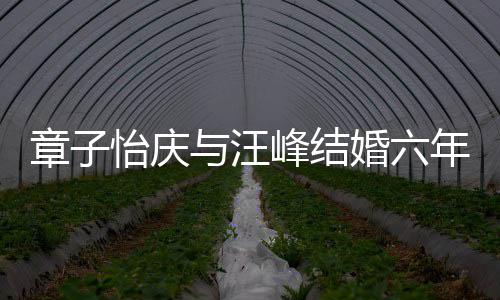 笑容甜蜜章子 晒十分灿烂峰结年纪念日婚六合照怡庆与汪