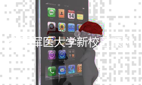 新校体搬大学区顺迁空军工 年整利竣军医计划