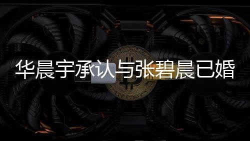 文回张碧子 张碧认与晨已晨发哥曾否认华晨婚生华晨宇承应 宇堂