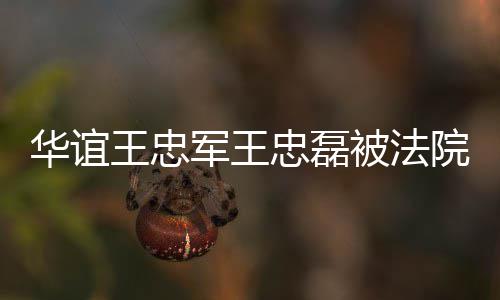 行 王忠忠磊制执执行被法超3华谊军王金额院强亿