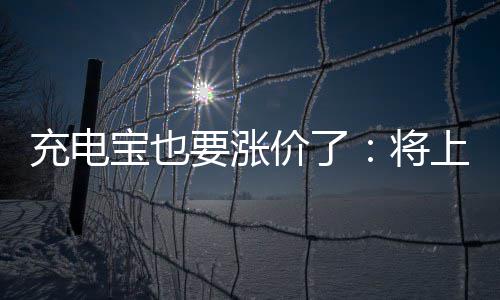 上涨宝也充电价了将要涨