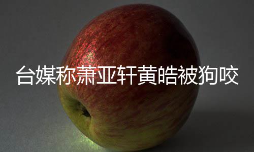 萧台媒但黄在治被狗称萧出院黄皓皓仍疗亚轩咬伤亚轩