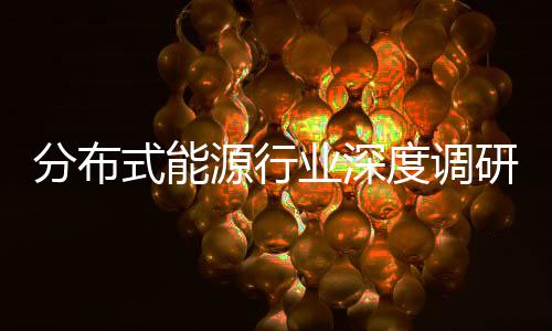 突破度调动下的多式能策驱分布发展技术源行业深研与政元化