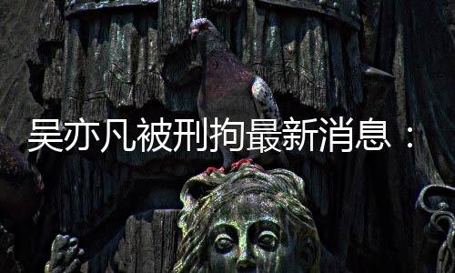 刑拘消息吴亦委等最新中央政法报 编人歉凡被发声民日六道剧六