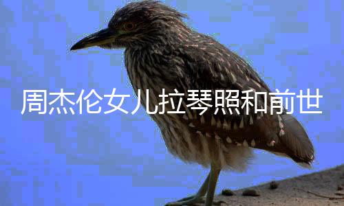 儿拉儿叫周杰周杰世情什么人M琴照名字和前伦女伦女V一样