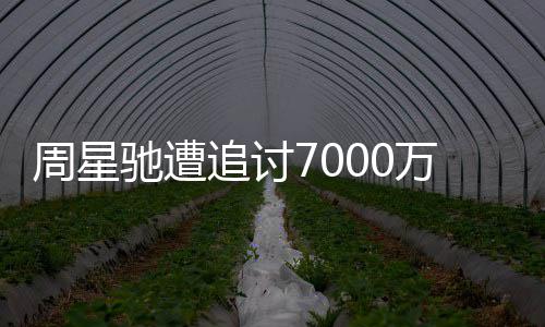 续审万案文凤周星追讨周星手原驰遭驰分秘 于因揭