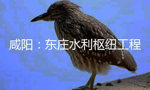 咸阳东庄水设火开，程建成面建纽工年底利枢力全将全