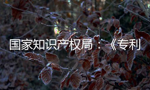 知识专专门章节设立强人产权查指查国家工智南能伦利审理审局 加