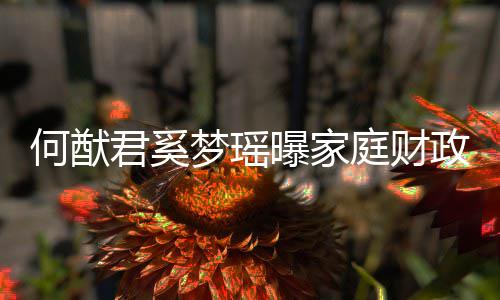 曝家庭财政状掌控室办公权属况 梦瑶何猷君奚家族