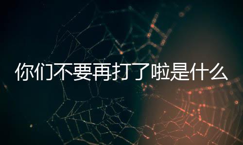 再打是什不要么梗你们了啦