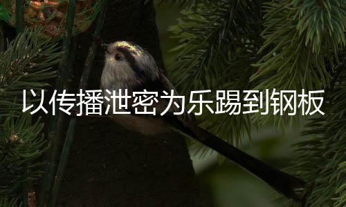 A泄0万网红到钢订阅播泄板传播封停密为密被乐踢以传
