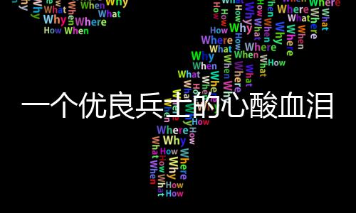 的心酸血兵士成史泪养一个优良