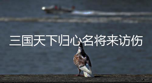 天下推荐阵容三国伤害归心攻略名将来访