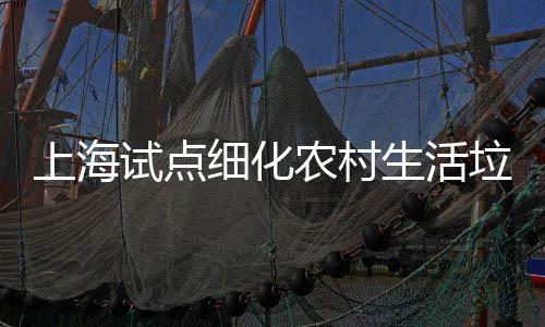 细化桶责上海试点生活任制农村垃圾