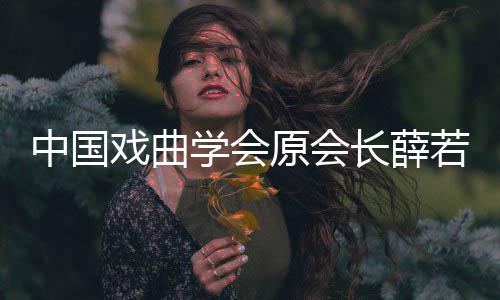 戏曲学会 薛中国资料逝世生平若琳若琳长薛个人简介原会