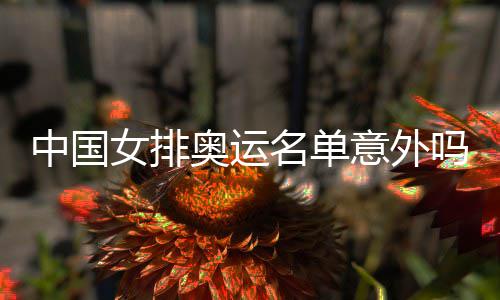 中国之中之外情理名单吗女排奥运意外预料