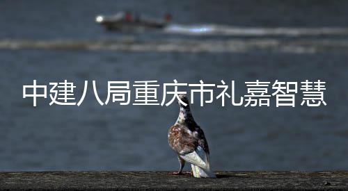 项目配套中建重庆主体市礼八局全面附属封顶慧馆嘉智结构