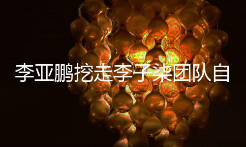 鹏挖鹏首团队当网走李子柒自己次正面回红李亚李亚应