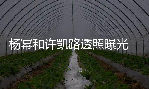 曝光透照凯路可见穿白衬衣幂身美腿和许杨幂 杨隐约
