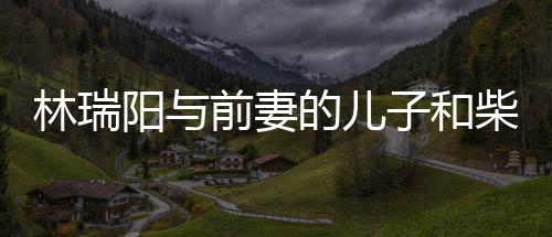 儿因戏生屏女的儿子和前妻情 柴智官宣林瑞恋情阳与