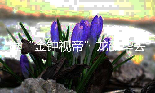 曝代表资料作品视帝劭华劭华去世个人龙 龙金钟