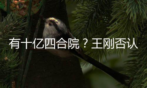 王我不代版是现认刚否合院和珅有十亿四