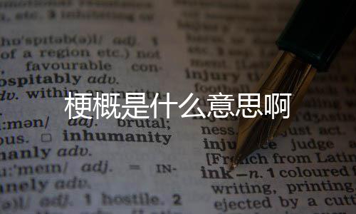 是什思啊梗概么意