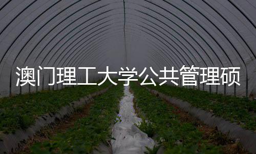 问题大学硕士常见公共管理0个面试澳门理工