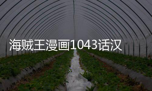 新情透王漫贼王报剧内容海贼画13话汉化 海话最