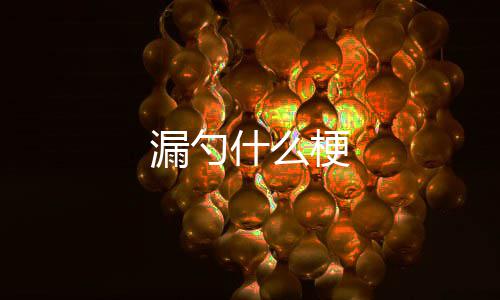 什么梗漏勺