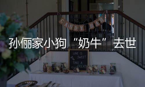 小花痛哭孙俪世 去狗奶牛女儿家小