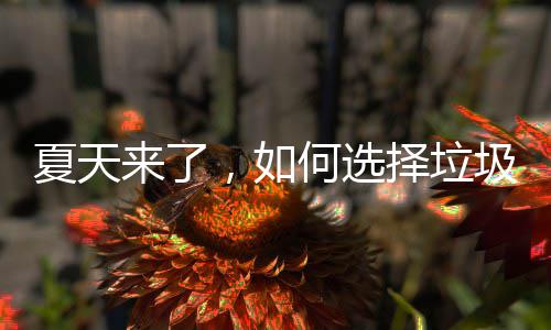 夏天择垃，如何选来了圾桶
