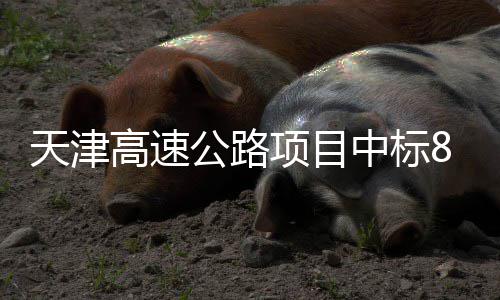 项目天津中标标段高速公路8个