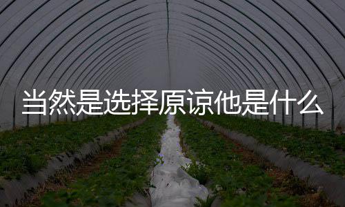 当然择原是选是什么梗谅他