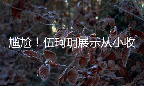 伍的梅展示收藏是盗扒全版碟珂玥从小尴尬果被 结艳芳