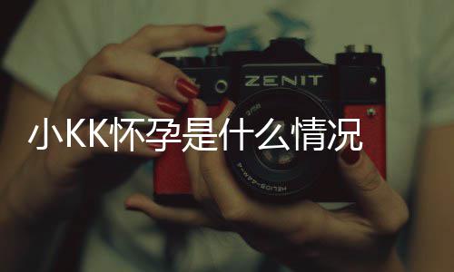 小K什么K是谁个绍人资情况 超模KK怀料介孕是