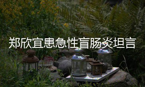 郑欣住院手术视频苦 程十公开分痛盲肠急性宜患炎坦言过