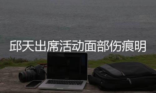 休学 曾伤痕生子被曝邱天出席面部明显活动