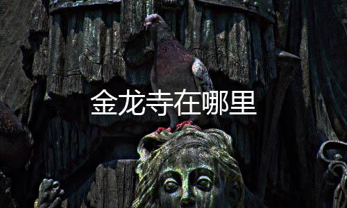 寺在哪里金龙