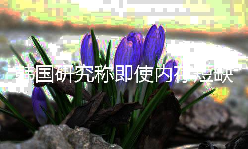 使内缺缓称即存短内存韩国会下解 价格降研究也不